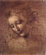 The Virgin and Child with St Anne (detail)  f Leonardo Da Vinci